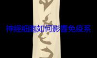 神經細胞如何影響免疫系統？研究揭示肺部神經在抵禦流感中的關鍵角色